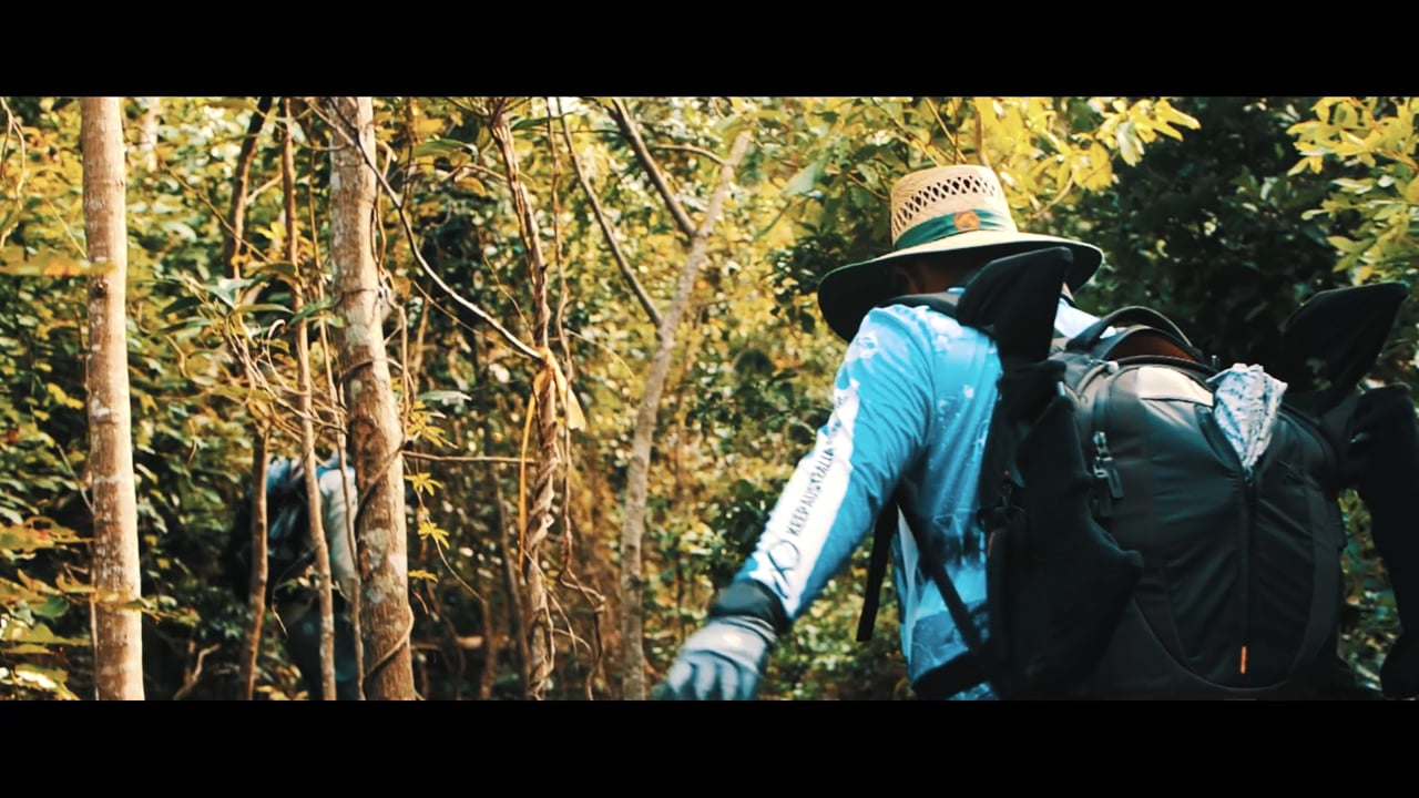 man walking through the bush