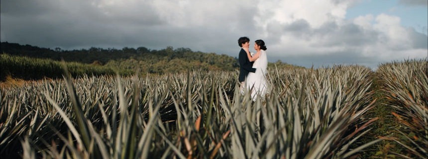 bride and groom kissing in pineapple feild