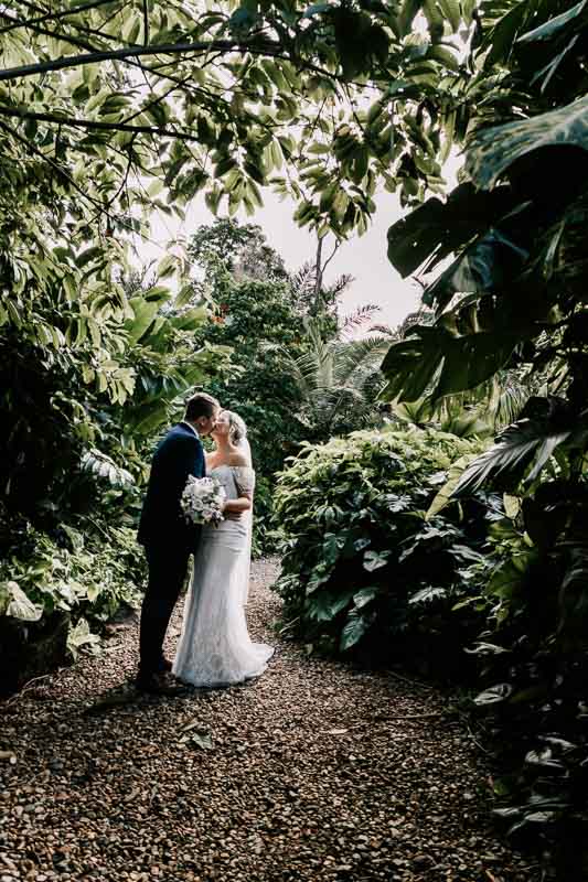 bride and groom in rainforest