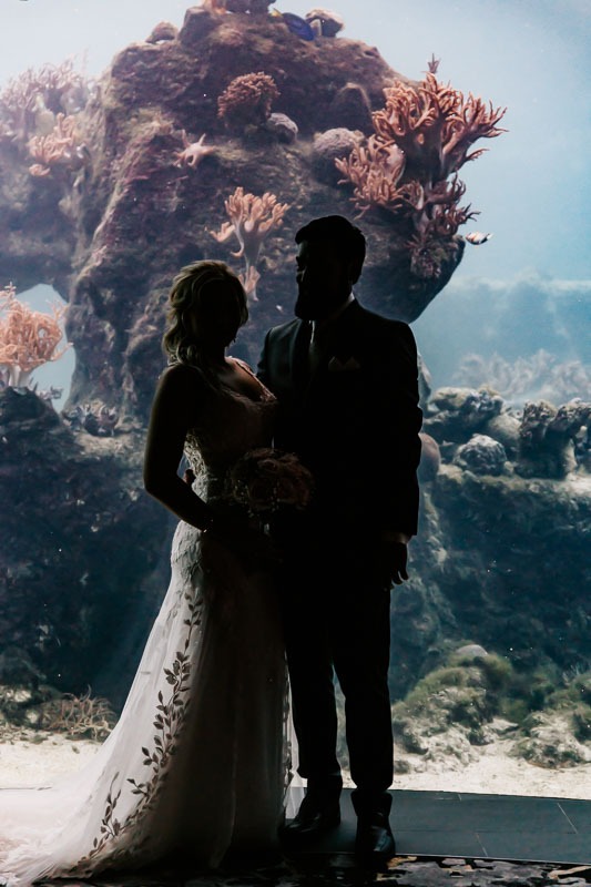 bride and groom underwater observatory