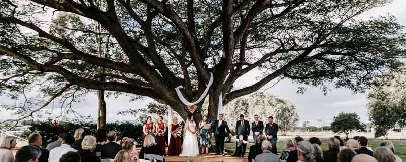 wedding under tree
