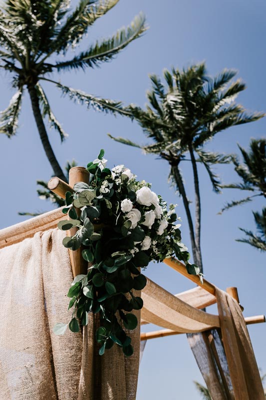 wedding arbour and palm tree