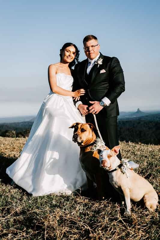 Bride & Groom with dogs
