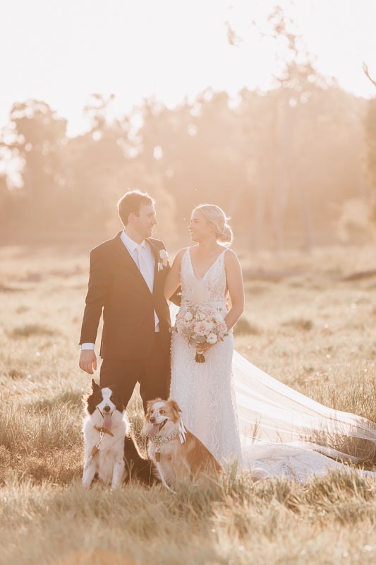 Bride & Groom and dogs with sunset behind