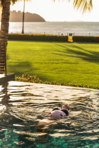 YGRO-Babymoon-TDM-LR-16 Woman floating in a luxury infinity pool at sunset, Funnel Bay Whitsundays