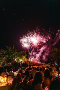 Ag Day 21-11-23 TDM LR-101 Professional videography captures vibrant fireworks at night event