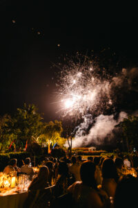 Ag Day 21-11-23 TDM LR-103 Professional videography fireworks event night celebration scene