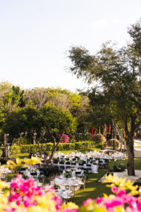 Ag Day 21-11-23 TDM LR-2 Professional videography capturing outdoor event with elegant decor