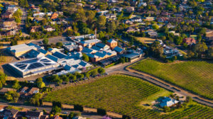 Drone Gallery Ag Day 24-LR-3 Professional videography photography and drone footage of a vineyard