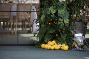 Full Gallery Ag Day 24-LR-50 Professional videography photography and drone footage of lemons display