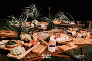 Professional videography, photography, and drone footage of a gourmet food spread on wooden tables at outdoor event