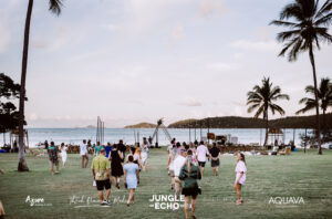 Jungle Echo – Low Res Export-14 Professional videography photography and drone footage on beach