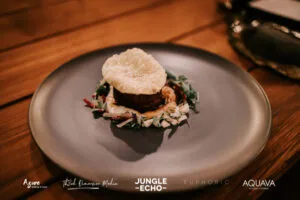 Professional videography photography and drone footage of gourmet dish