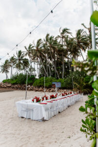 Professional videography beach wedding setup under palm trees