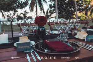 TDM -WILDFIRE – Low Res-12 Professional videography photography and drone footage setup event