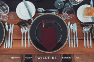 TDM -WILDFIRE – Low Res-17 Professional videography photography drone footage event table setting