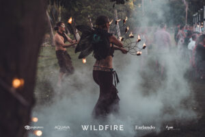 TDM -WILDFIRE – Low Res-18 Professional videography captures outdoor event with dancers and fire