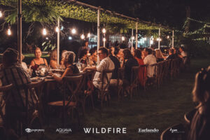 TDM -WILDFIRE – Low Res-20 Professional videography photography drone footage at outdoor event