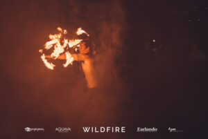 TDM -WILDFIRE – Low Res-21 Professional videography fire performer during nighttime event