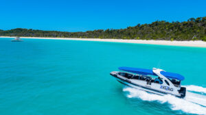 Lifestyle photography – group of friends celebrating with drinks outdoors