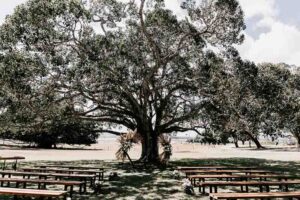 Professional videography, photography, and drone footage of outdoor event setup