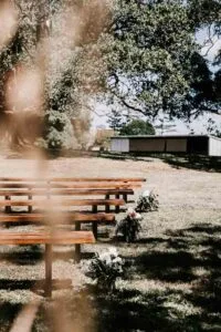 Professional videography photography and drone footage in a park