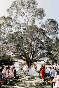 Professional videography photography and drone footage at outdoor wedding