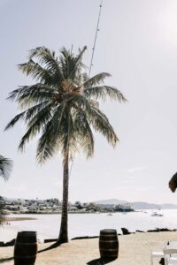 Professional videography photography and drone footage coastal view