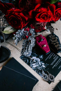 Professional videography, photography, and drone footage setup