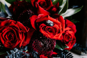 Professional videography capturing vibrant red rose bouquet