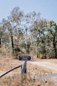 Professional videography photography and drone footage of wedding trail