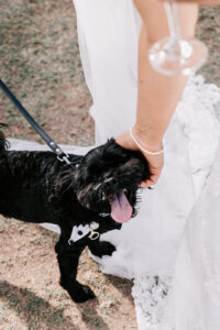 Professional videography capturing wedding with happy pet dog