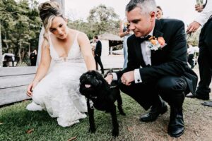 Professional videography wedding couple with dog in garden
