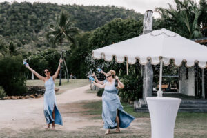 Professional videography, photography, outdoor event celebration