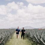 Professional videography photography and drone in agave field