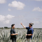 Professional videography, photography in agave field setting