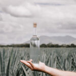 Professional videography countryside hand holding glass bottle