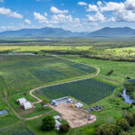 Professional videography showcasing stunning aerial farmland views