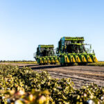 Professional videography cotton harvest with green tractors