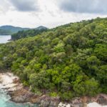 Professional videography photography and drone footage of coastline