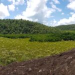 Professional videography, photography, and drone footage of lush hills