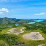 Professional videography showcasing lush green landscapes