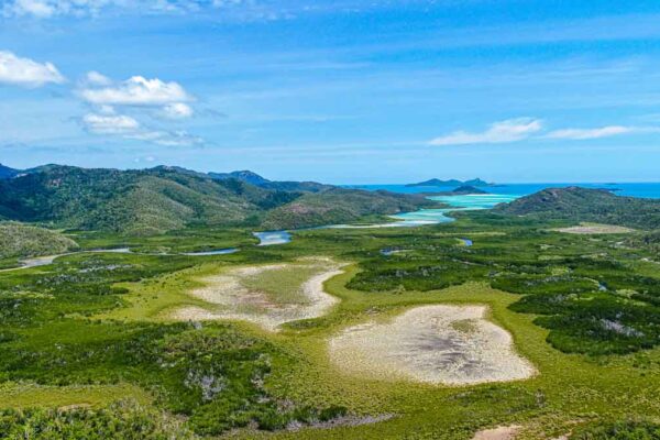 Professional videography showcasing lush green landscapes