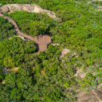 Professional videography photography and drone footage of forest path