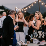 Professional videography picnic event scene with lively guests