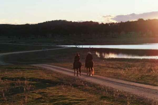 Professional videography, photography, and drone footage of riders at sunset