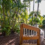 Professional videography photography drone footage tropical walkway