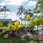 Professional videography tropical park with palm trees and swings