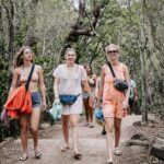 Professional videography people walking on forest trail