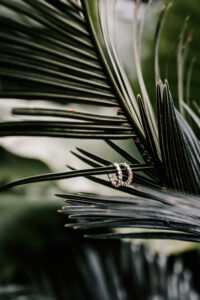 Professional videography photography and drone footage artistry